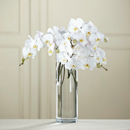White Phalaenopsis Bouquet –  Fleuriste Lily-rose, Magog PQ