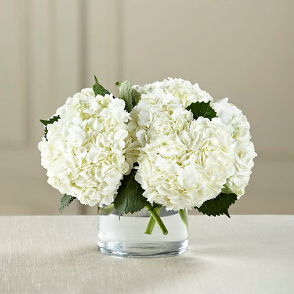 White Hydrangea Bouquet –  Fleuriste Lily-rose, Magog PQ